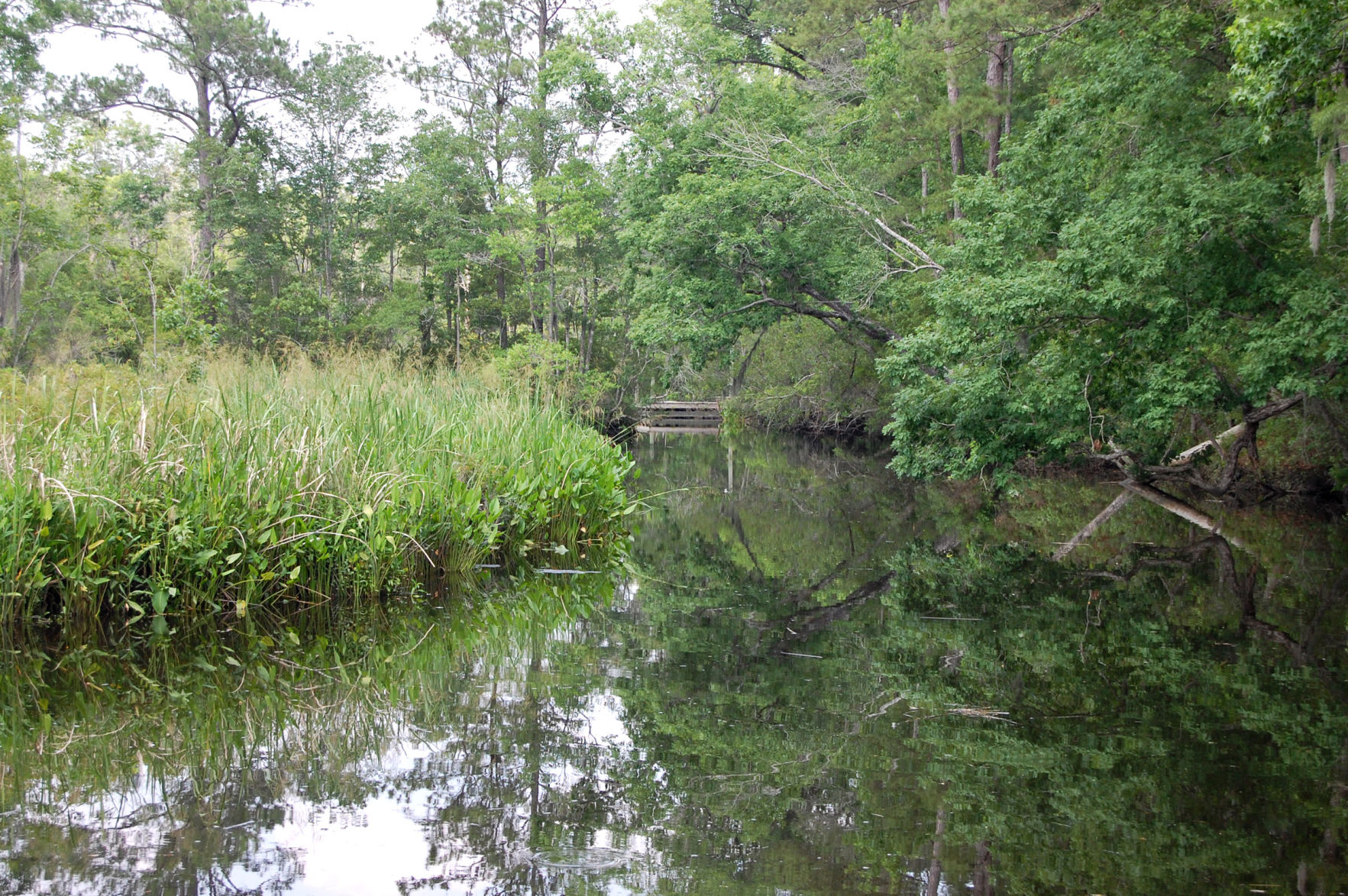 SC plantation in the same clan since the '30s and once used by Gen. Robert E. Lee sells